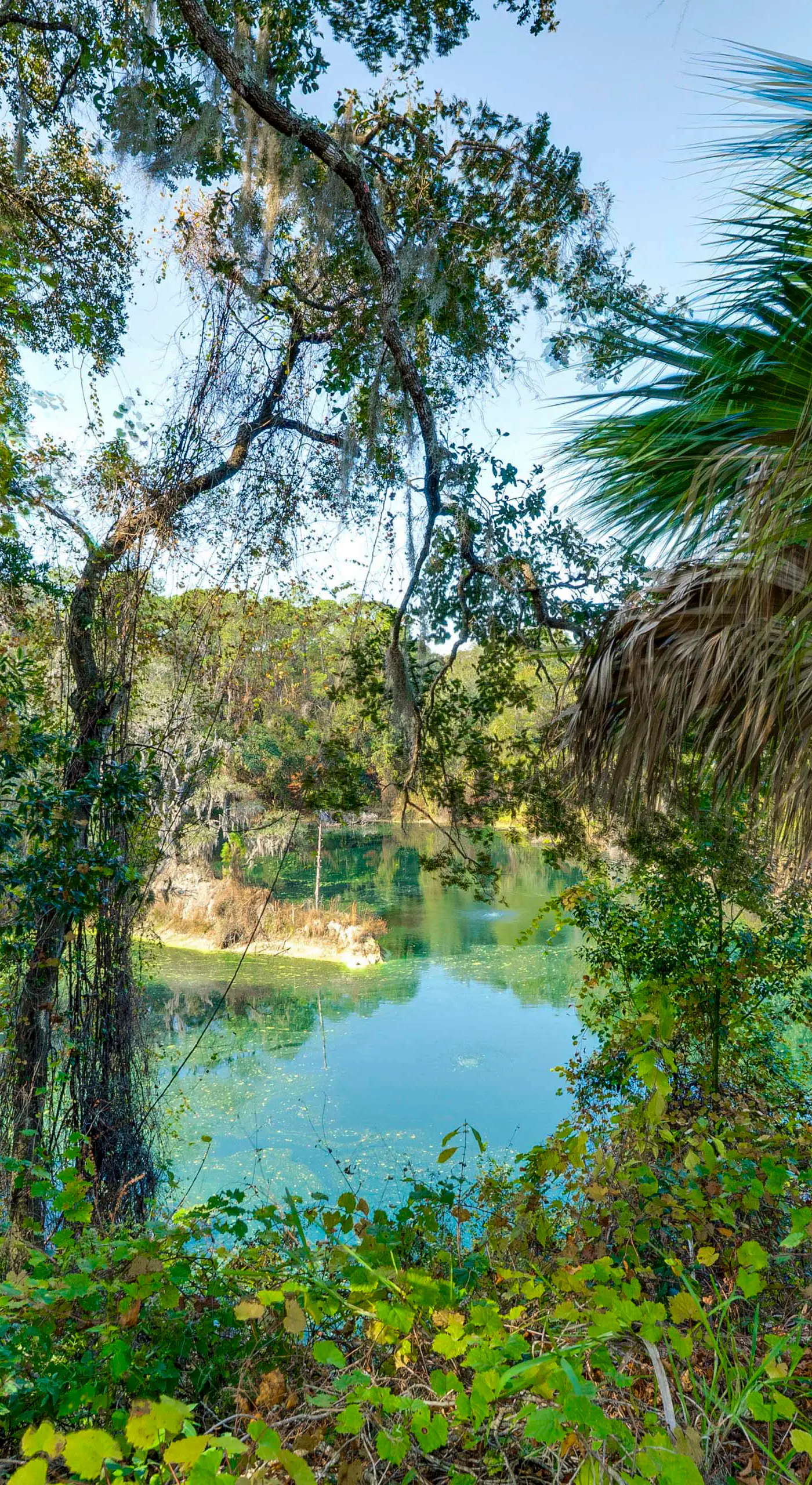 Spacious Hernando Home: Community Pool + Lake!