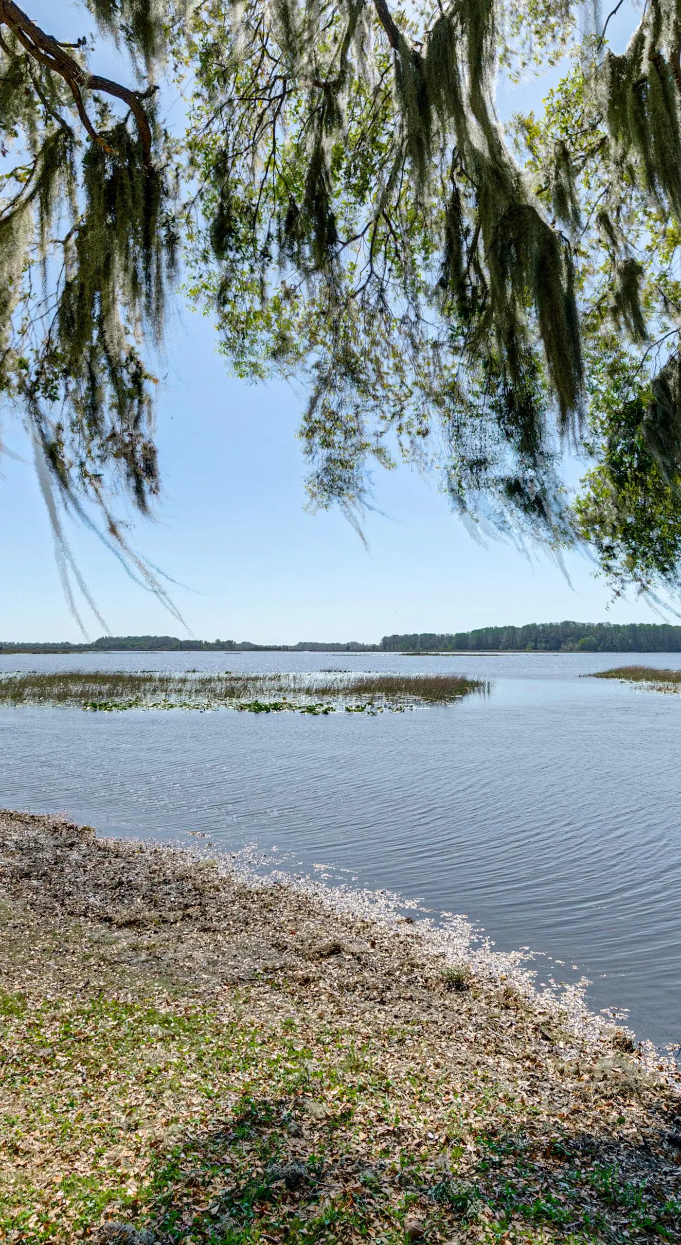 Lake View, Pool Access! Pet-Friendly Hernando Stay