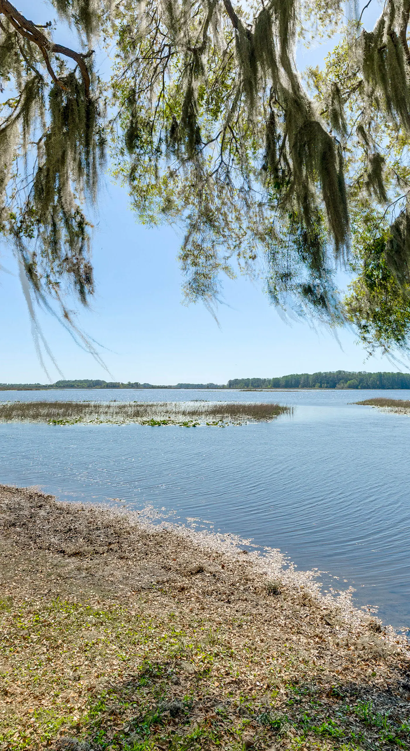 Lake Days + Pool Fun! Nature Coast Retreat