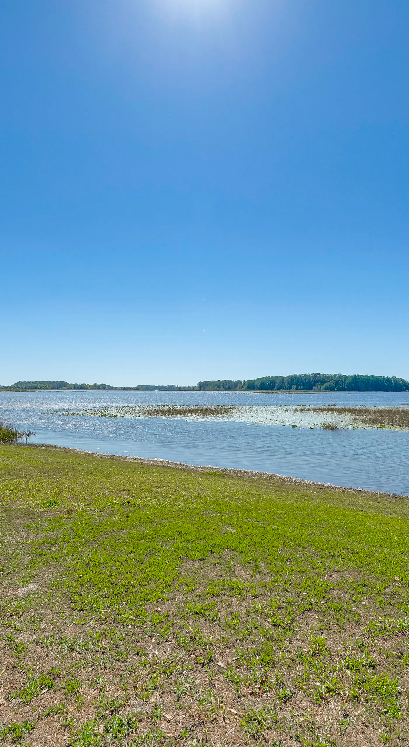 Lake Days + Pool Fun! Nature Coast Retreat
