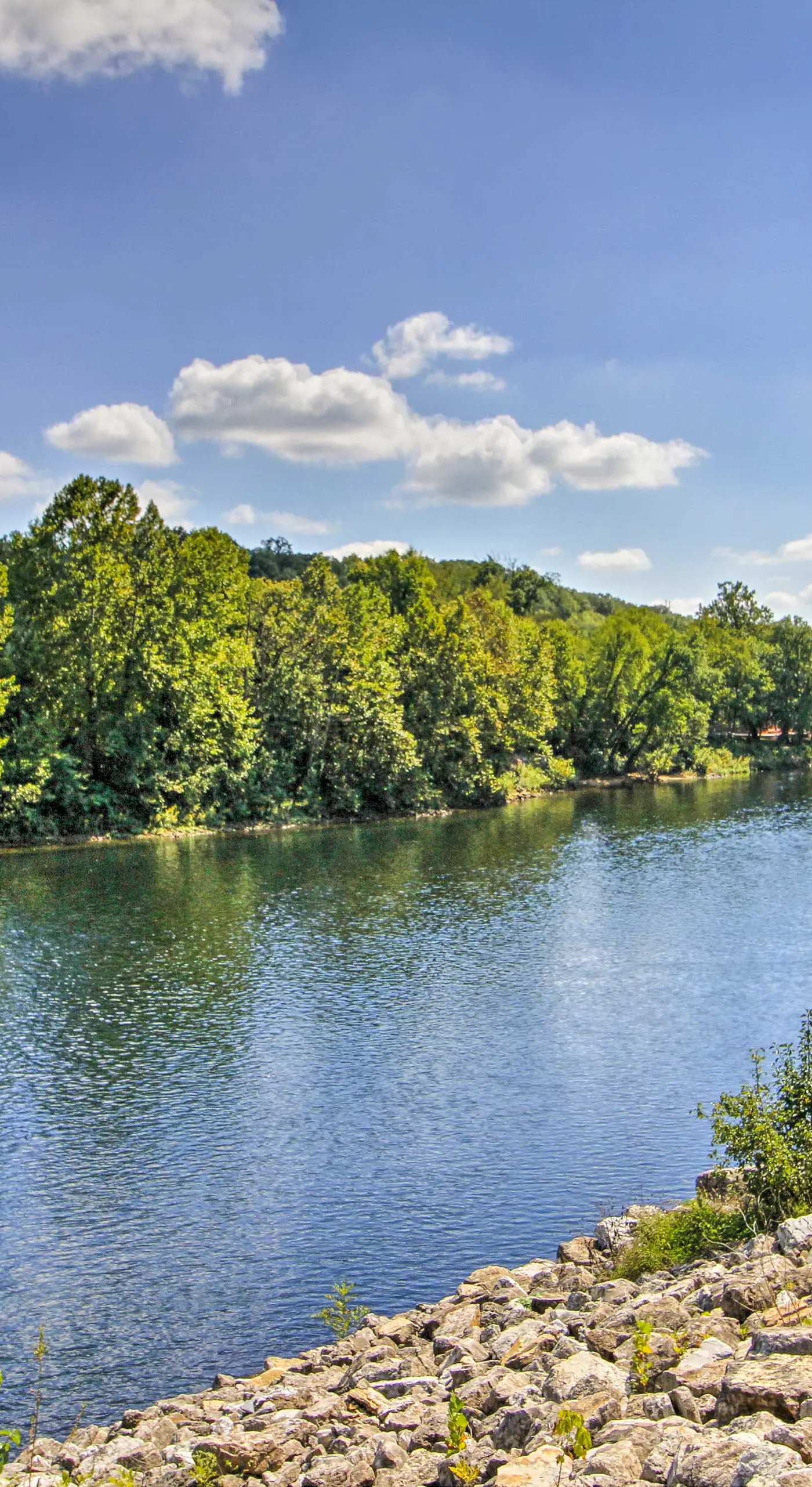 Near Attractions & Shows: Branson Updated Condo
