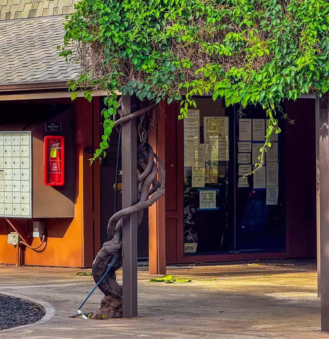 Koa Resort 3E | Two Bedroom Condo in Kihei